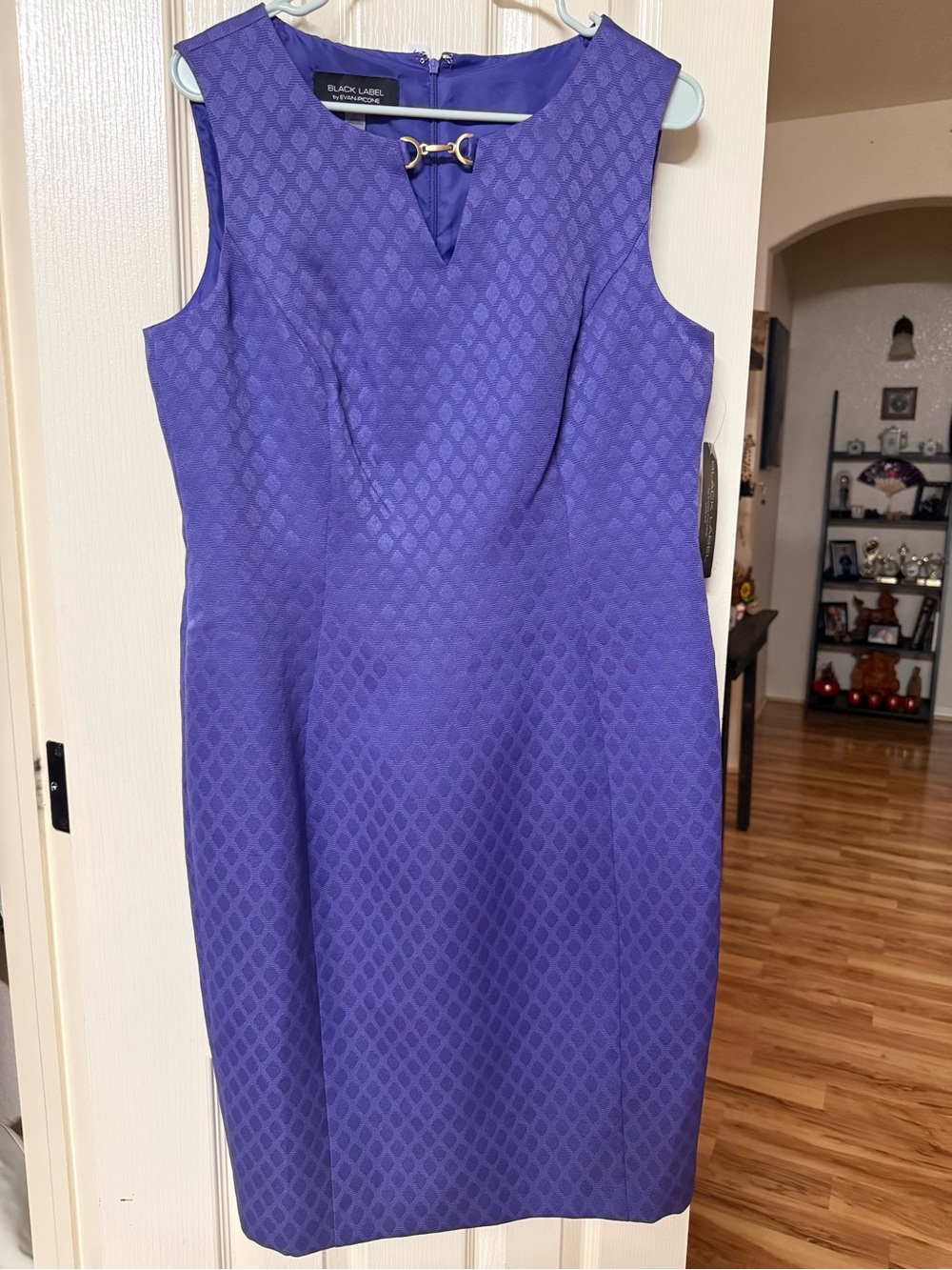 Evan Picone Purple Sleeveless Sheath with Decorative Clasp